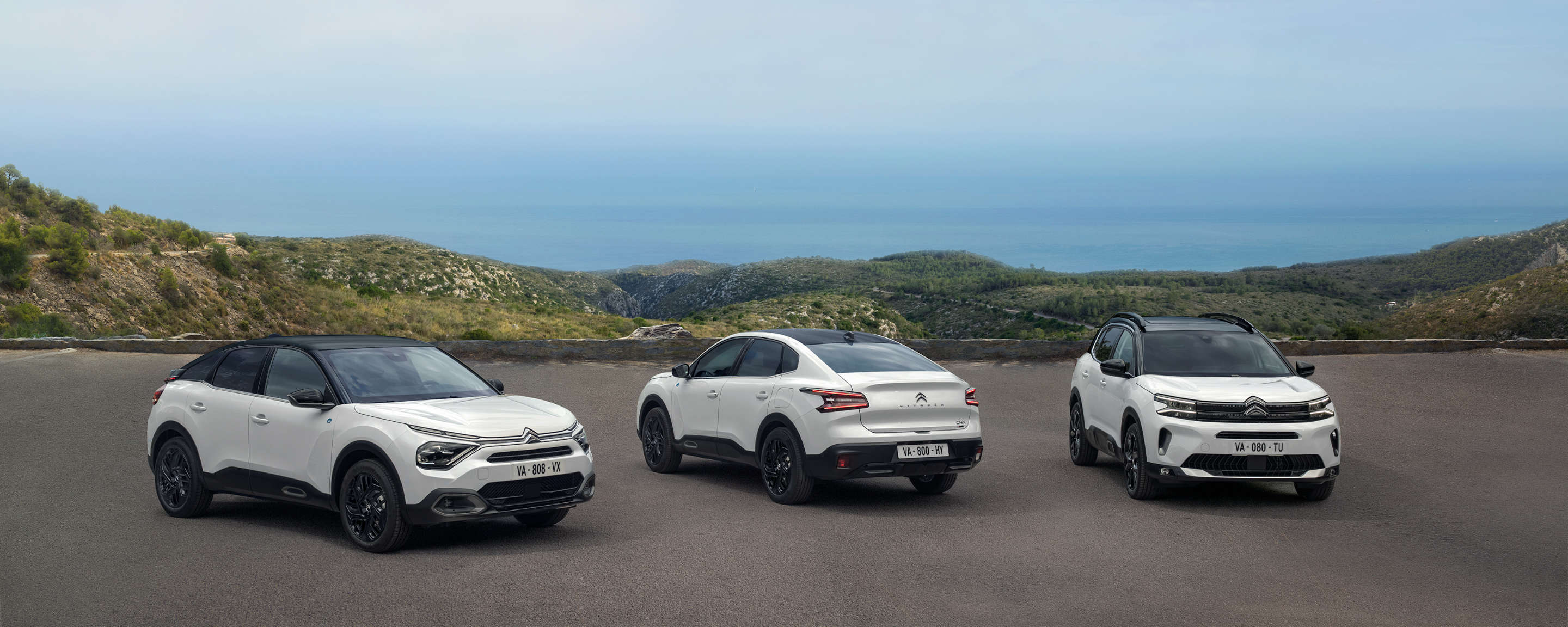 Три автомобілі Citroën на стоянці біля моря